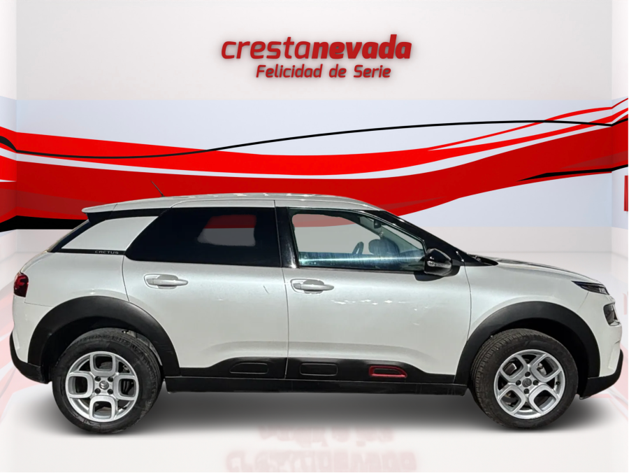 Imagen de CITROEN C4 Cactus