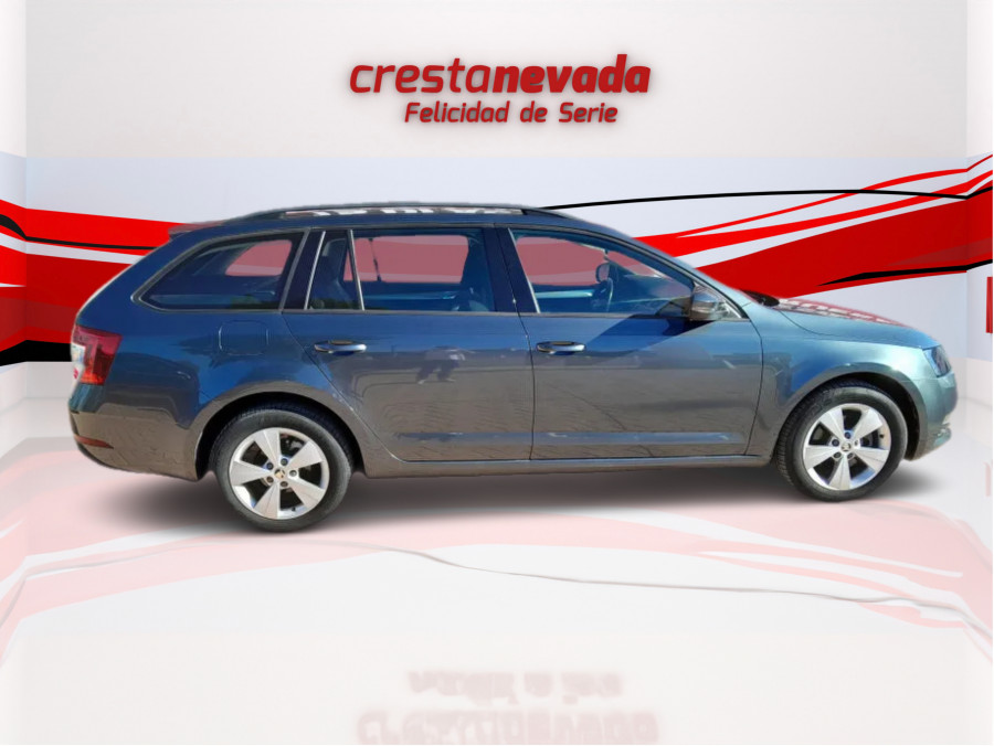 Imagen de Skoda Octavia