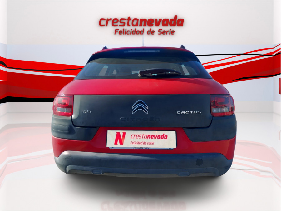 Imagen de CITROEN C4 Cactus