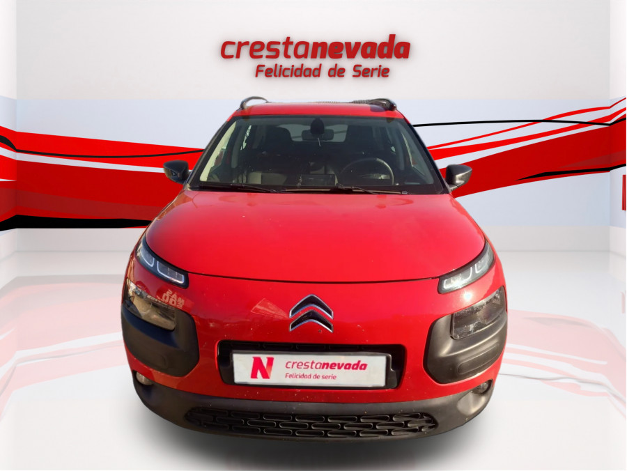 Imagen de CITROEN C4 Cactus