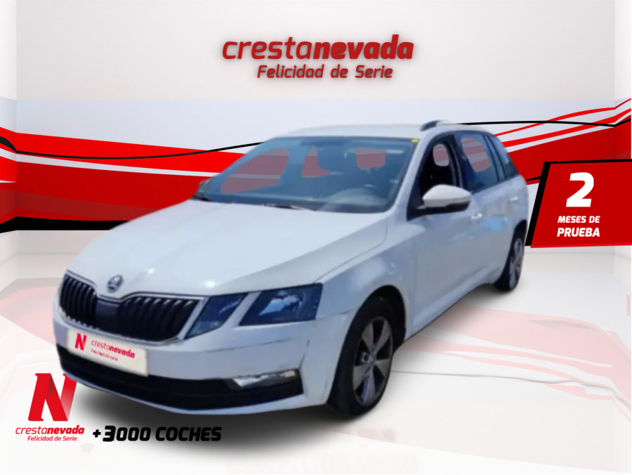 Imagen de Skoda Octavia
