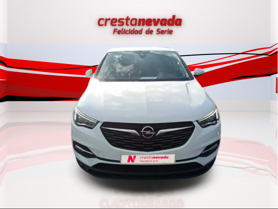 Imagen de Opel Grandland X