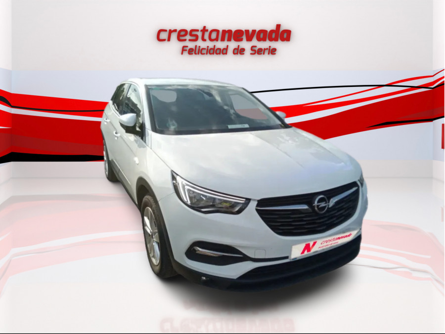 Imagen de Opel Grandland X