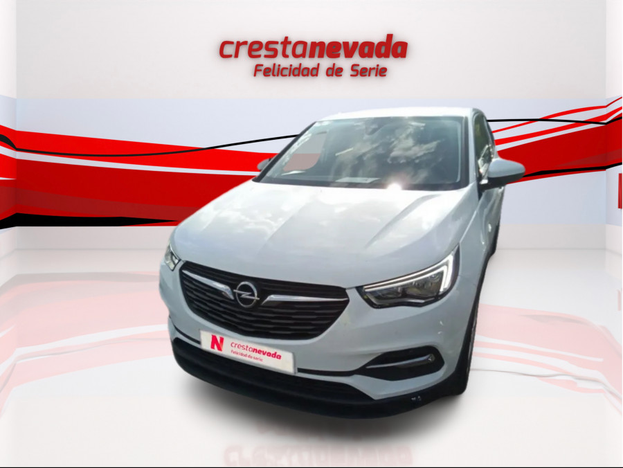 Imagen de Opel Grandland X