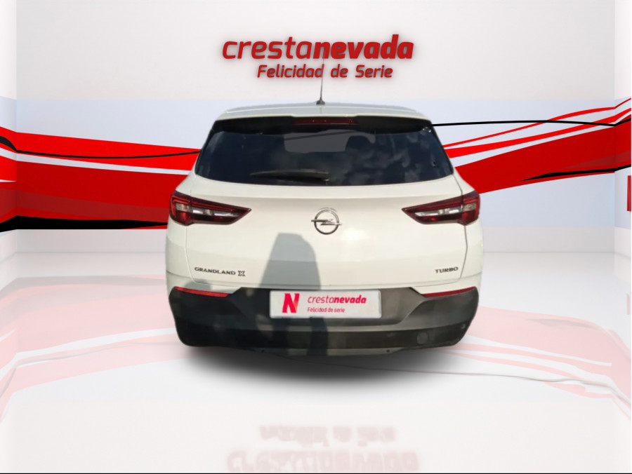 Imagen de Opel Grandland X