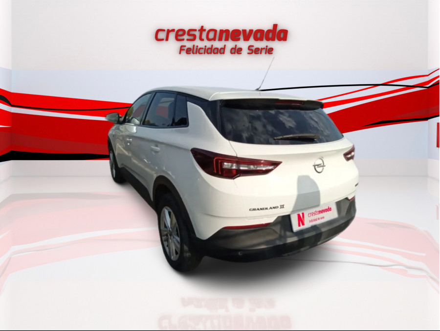 Imagen de Opel Grandland X