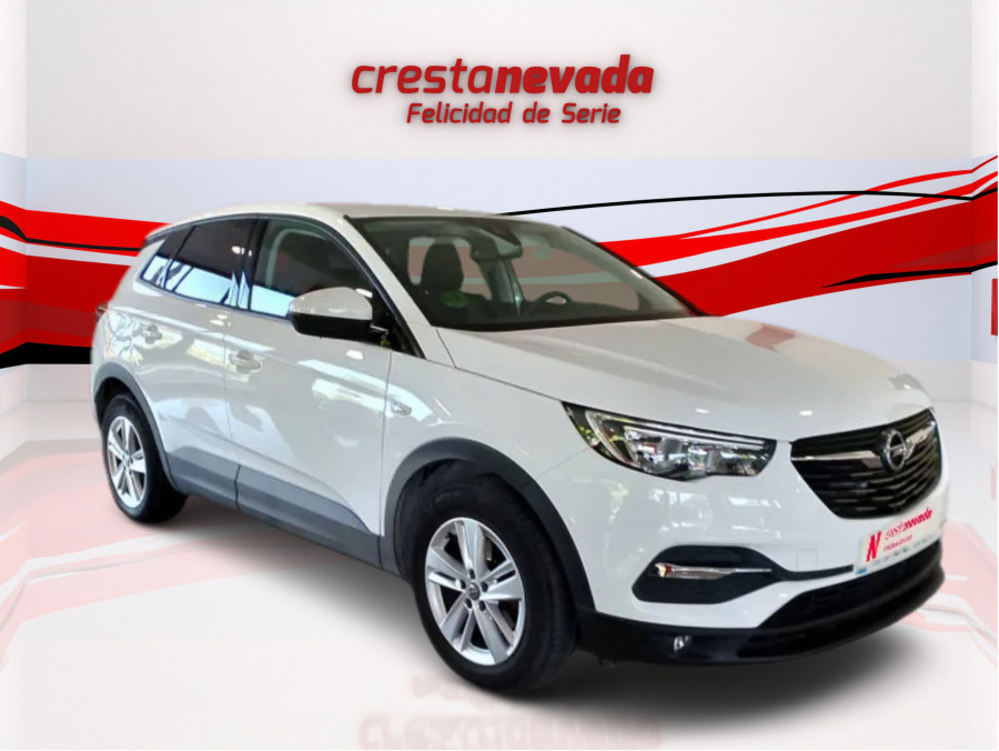 Imagen de Opel Grandland X