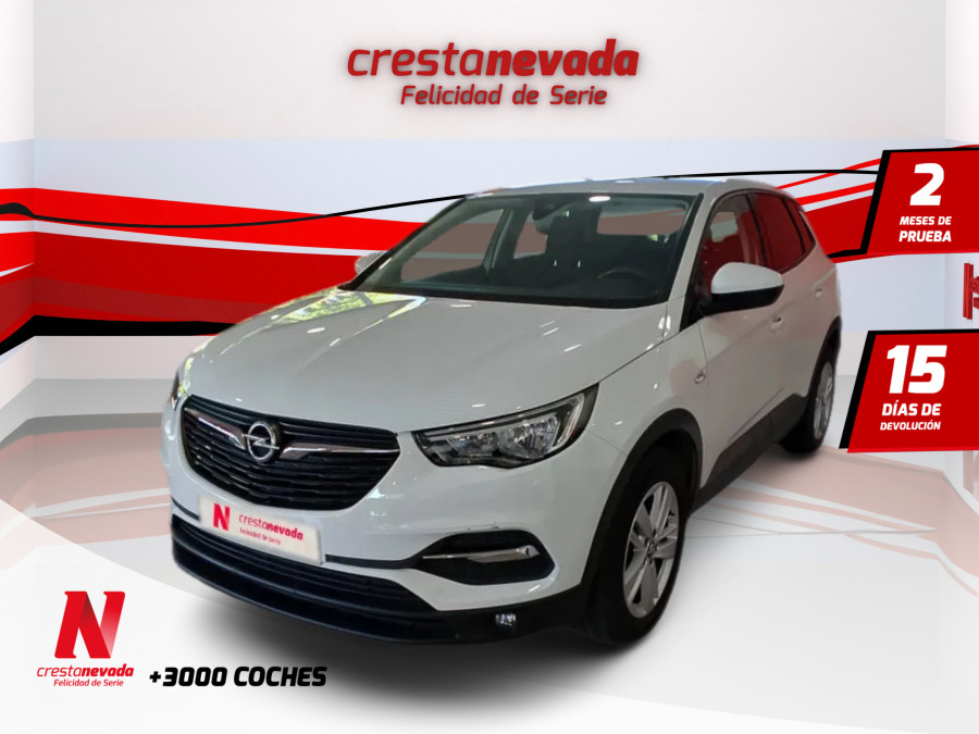 Imagen de Opel Grandland X