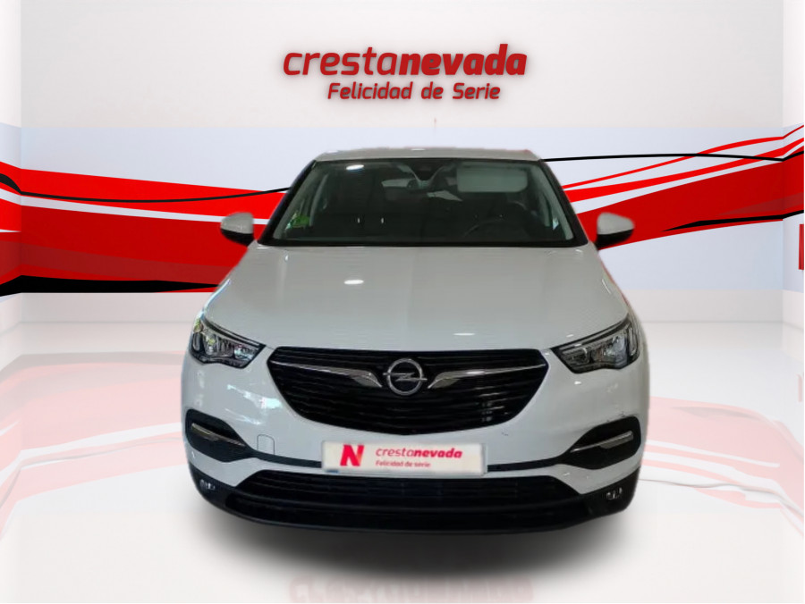 Imagen de Opel Grandland X