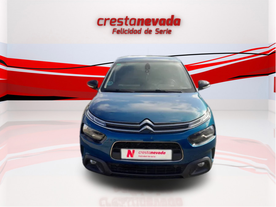 Imagen de CITROEN C4 Cactus