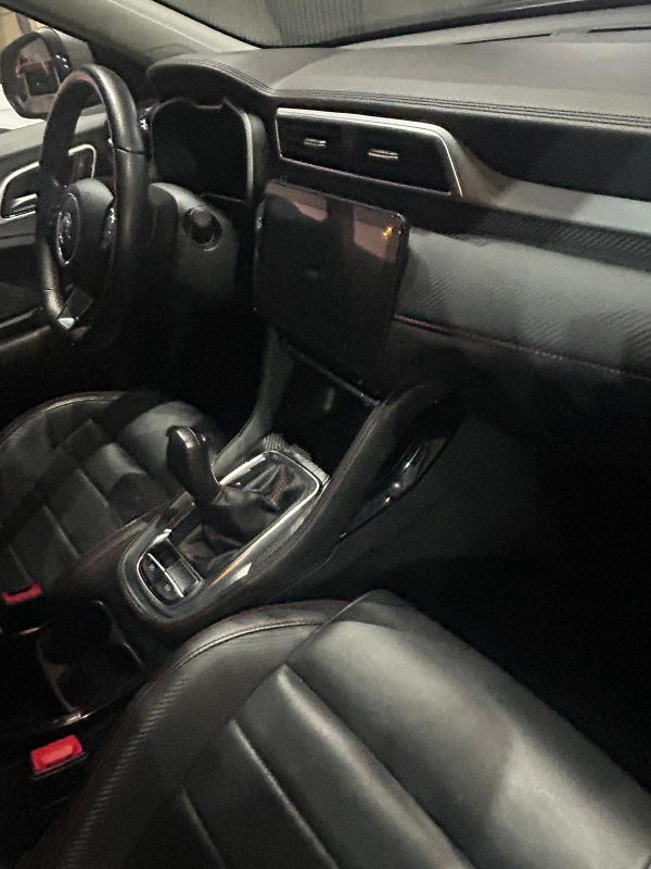Imagen de Mg ZS