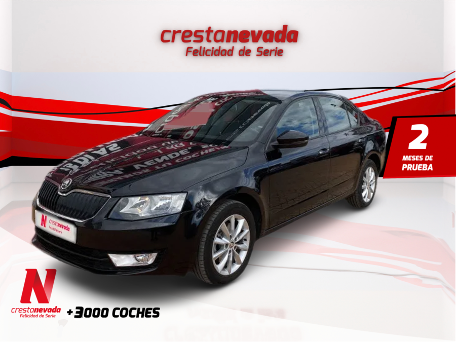 Imagen de Skoda Octavia