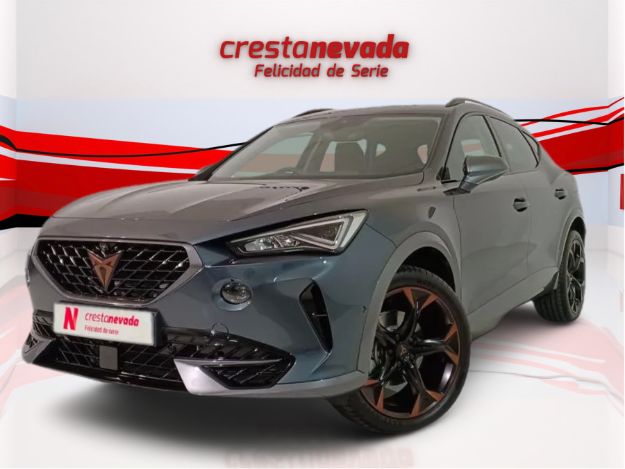 Imagen de cupra Formentor