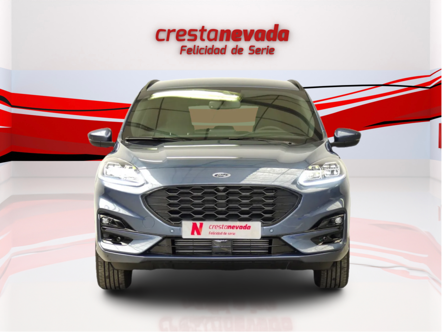 Imagen de Ford KUGA