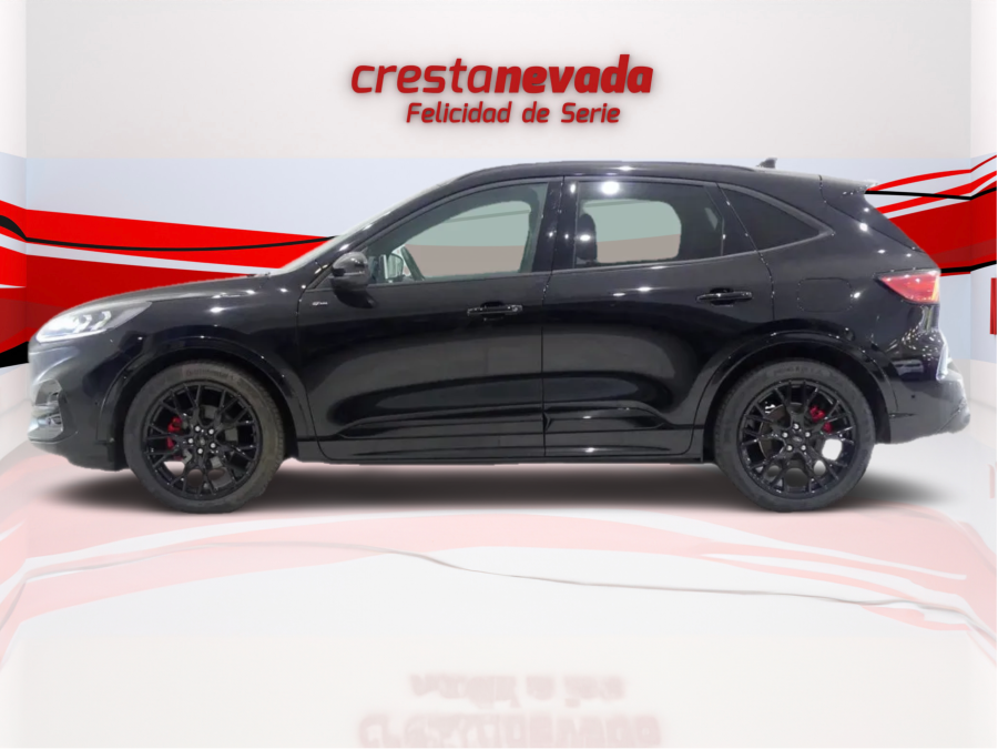 Imagen de Ford KUGA