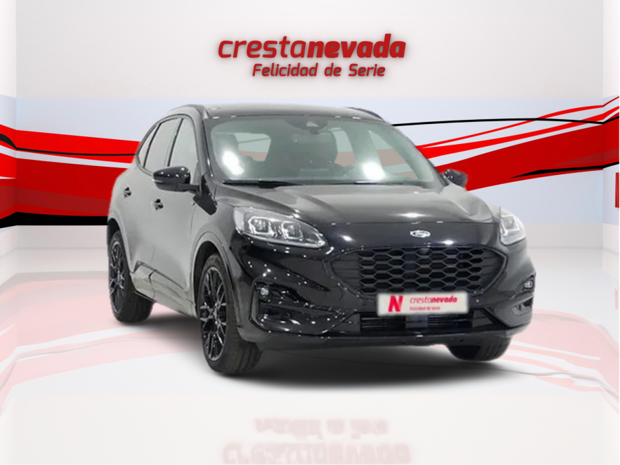 Imagen de Ford KUGA