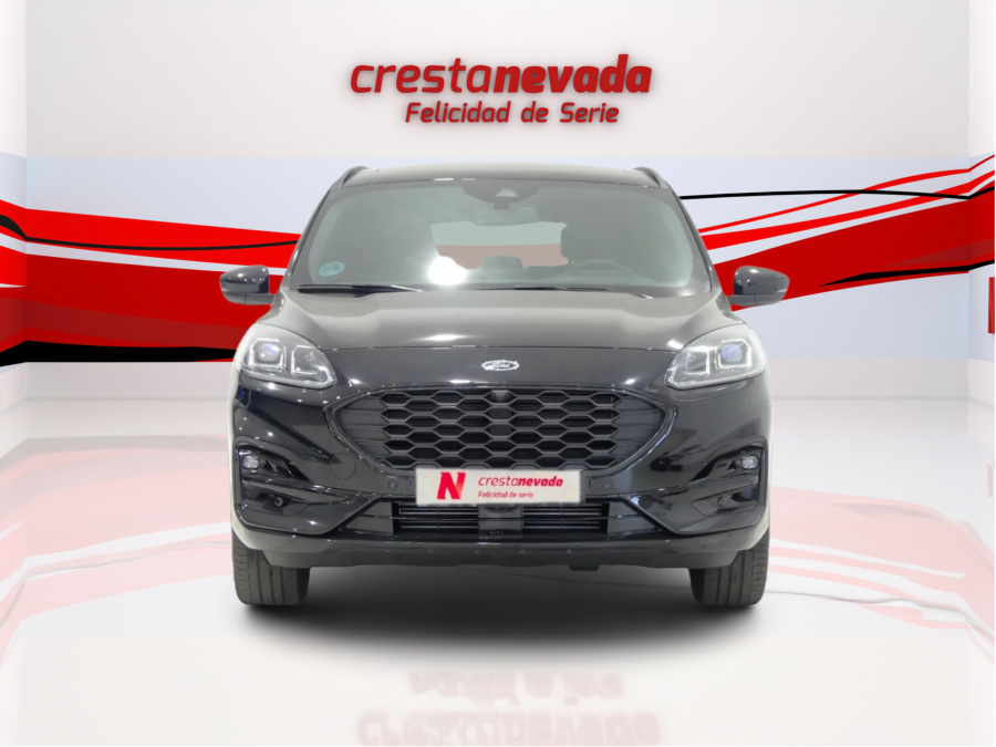Imagen de Ford KUGA