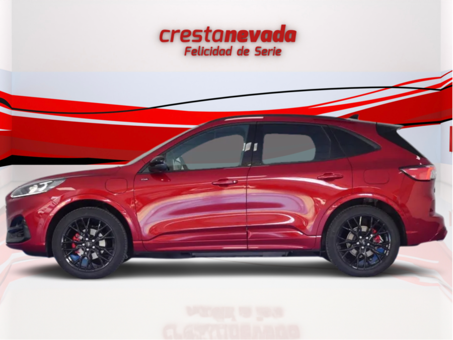Imagen de Ford Kuga