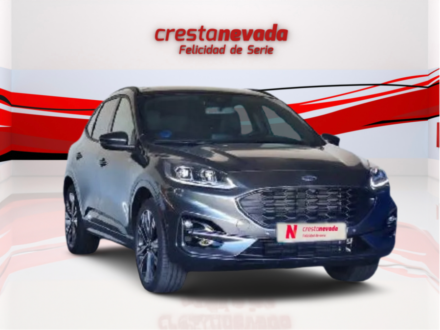 Imagen de Ford Kuga