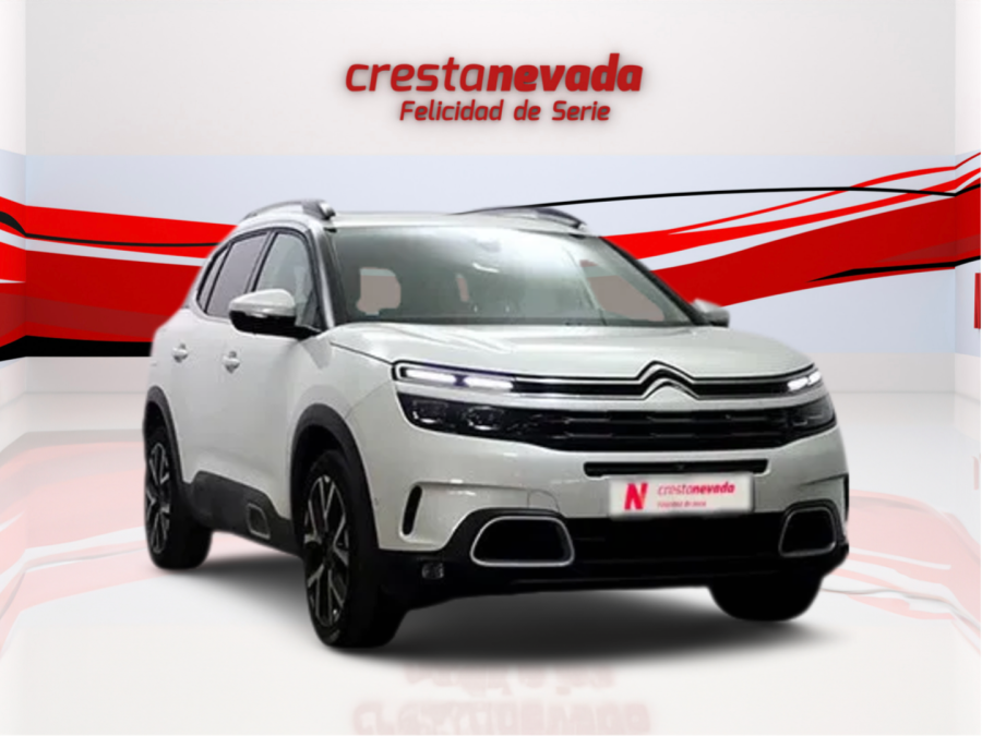 Imagen de CITROEN C5 Aircross