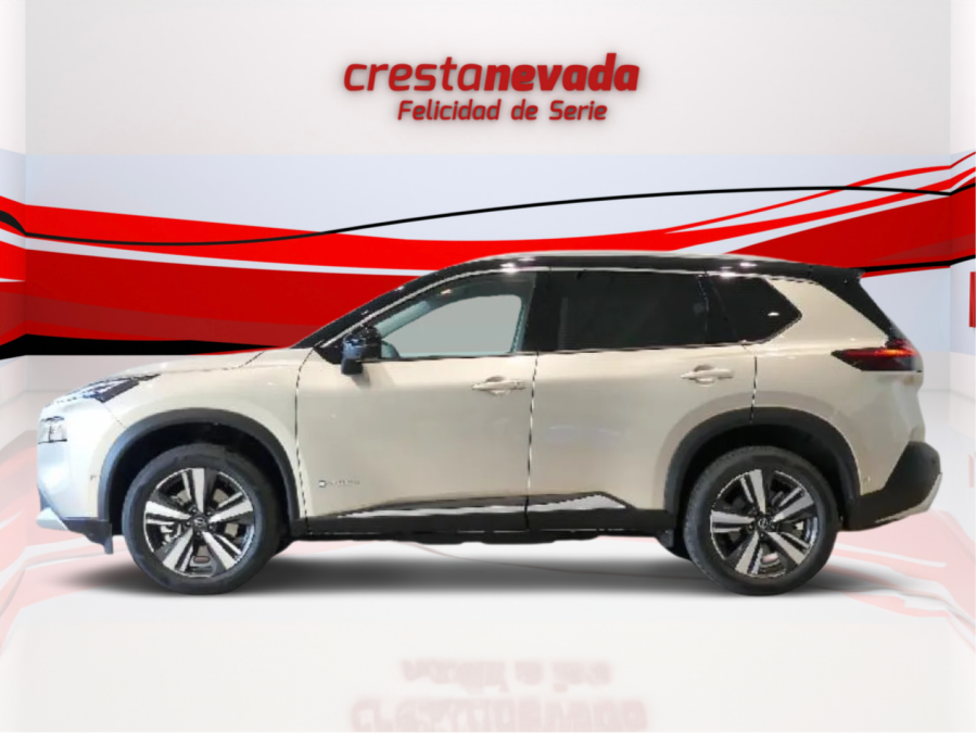 Imagen de NISSAN X-TRAIL