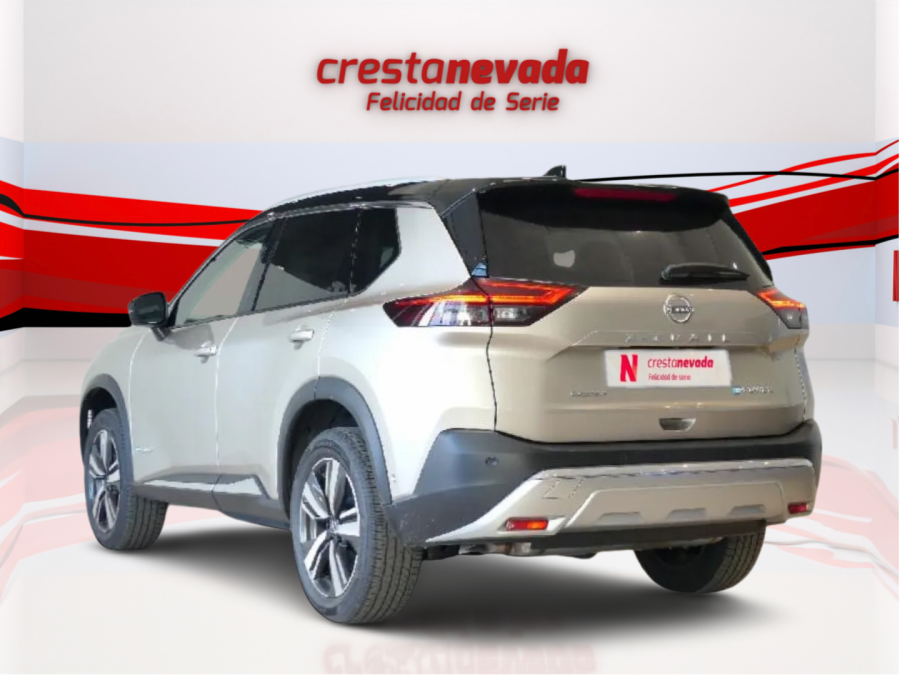 Imagen de NISSAN X-TRAIL