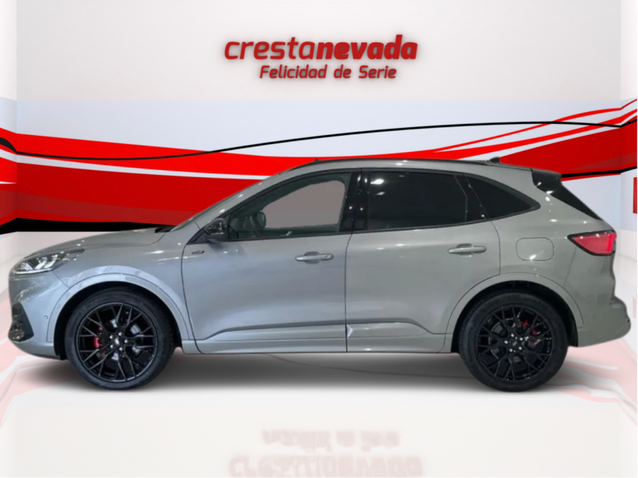 Imagen de Ford Kuga