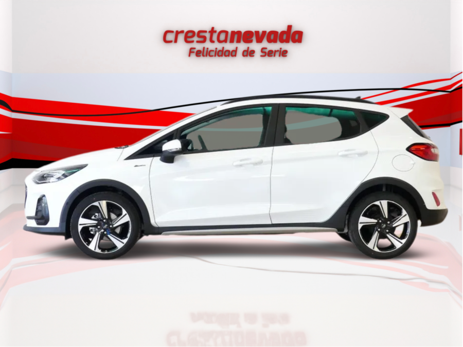 Imagen de Ford Fiesta