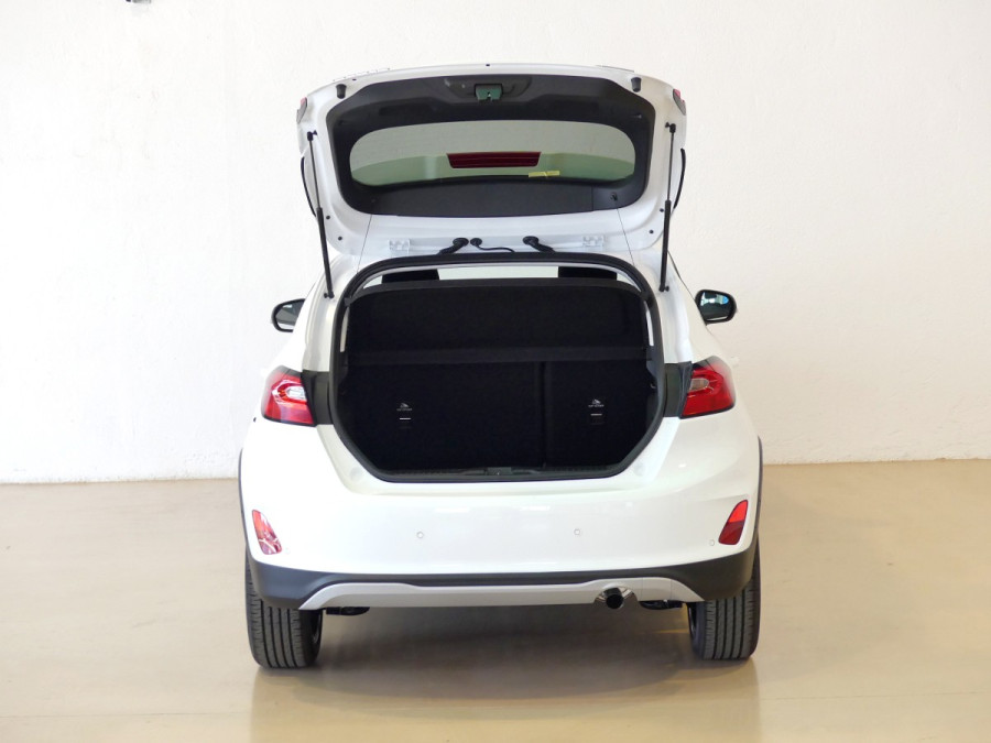 Imagen de Ford Fiesta