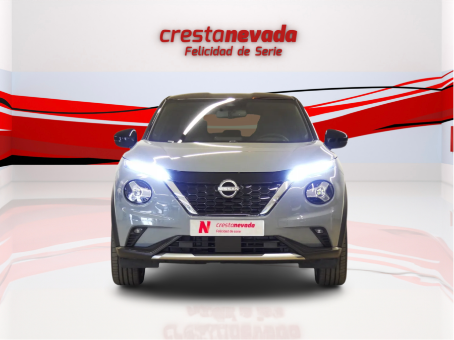 Imagen de NISSAN JUKE