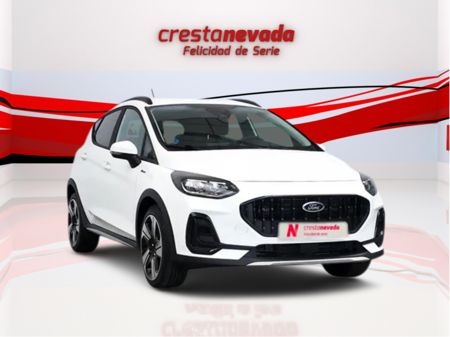 Imagen de Ford FIESTA