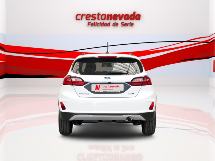 Imagen de Ford FIESTA