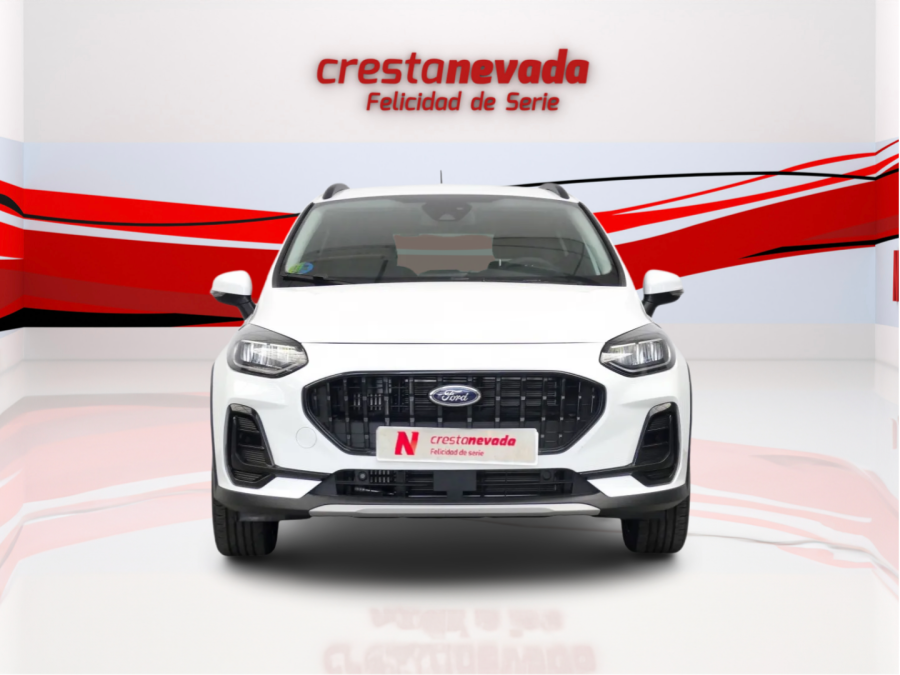 Imagen de Ford FIESTA