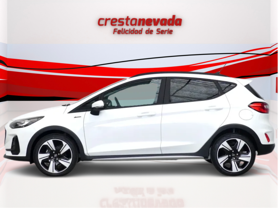 Imagen de Ford FIESTA