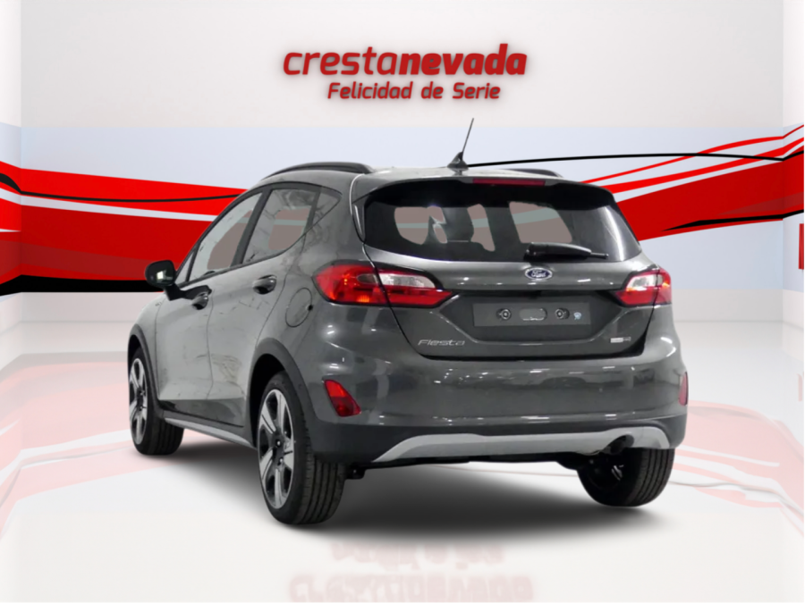 Imagen de Ford Fiesta