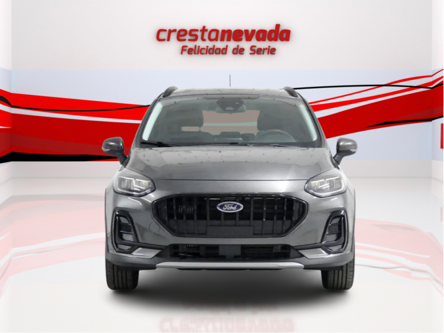 Imagen de Ford Fiesta
