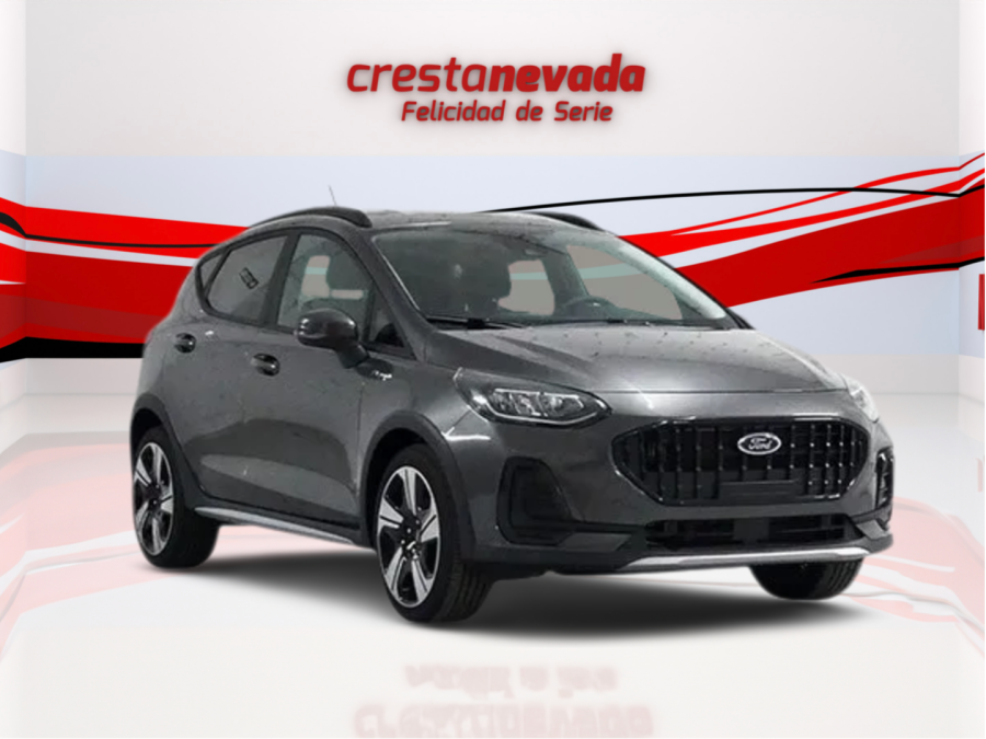 Imagen de Ford Fiesta
