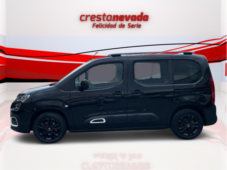 Imagen de CITROEN Berlingo