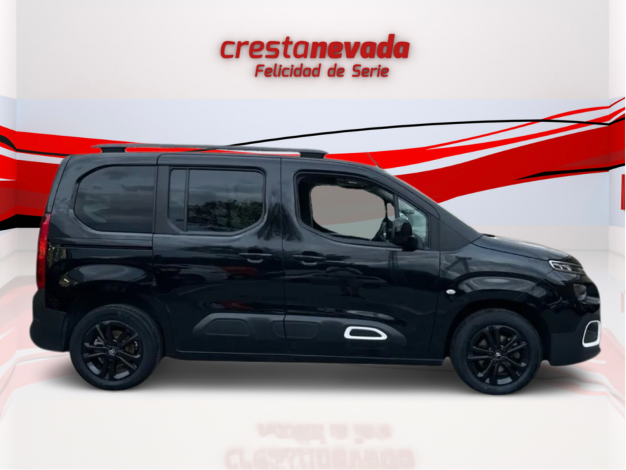 Imagen de CITROEN Berlingo