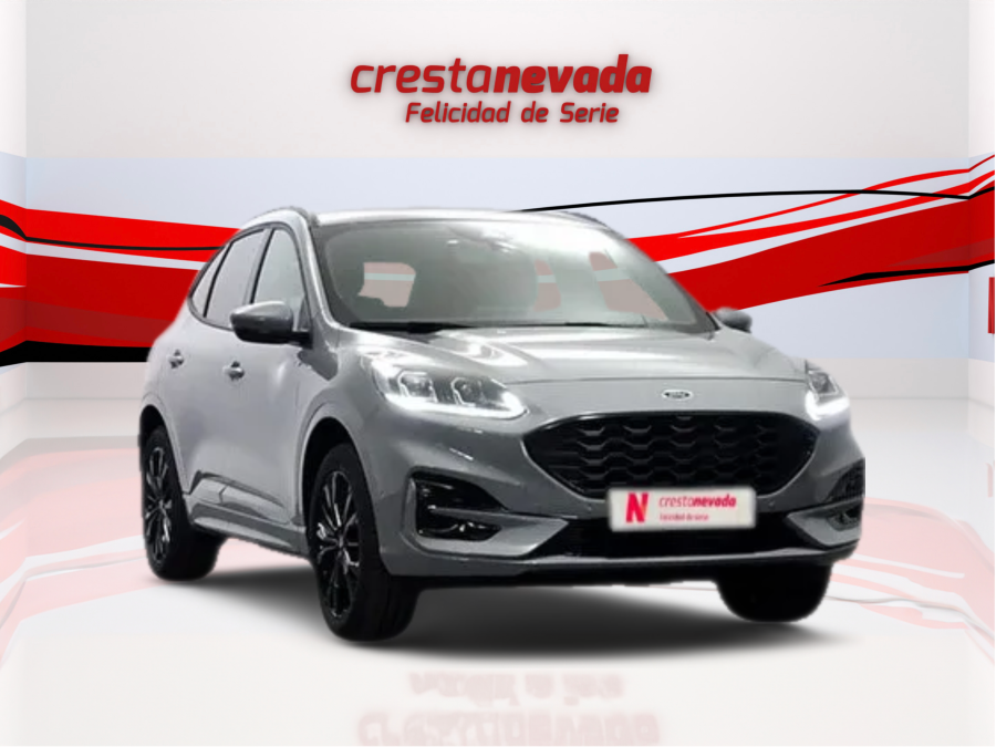 Imagen de Ford KUGA