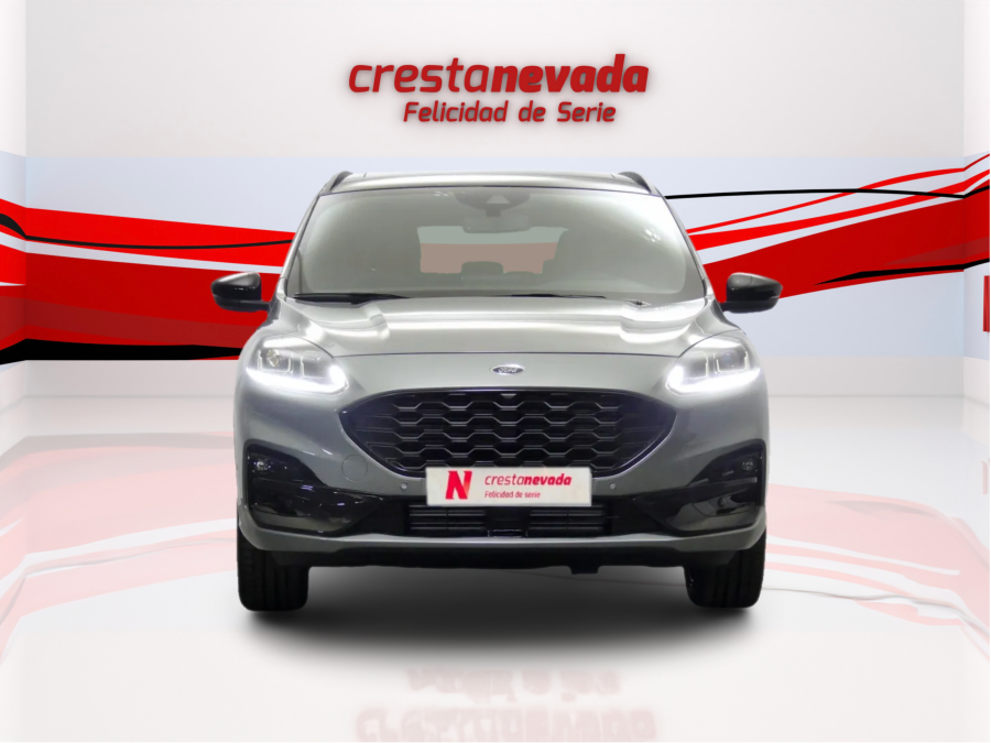 Imagen de Ford KUGA