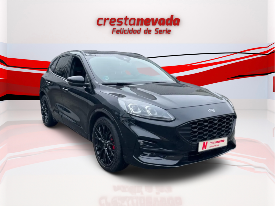 Imagen de Ford KUGA
