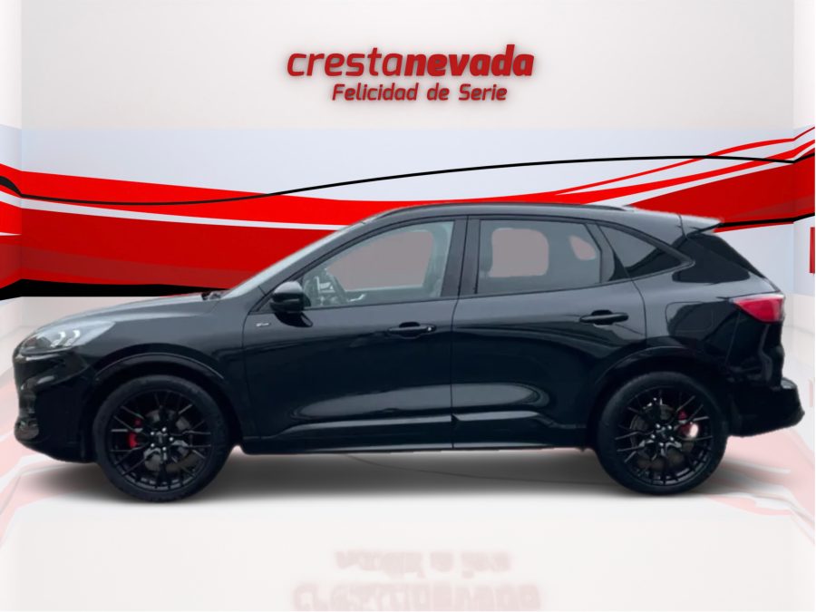 Imagen de Ford KUGA