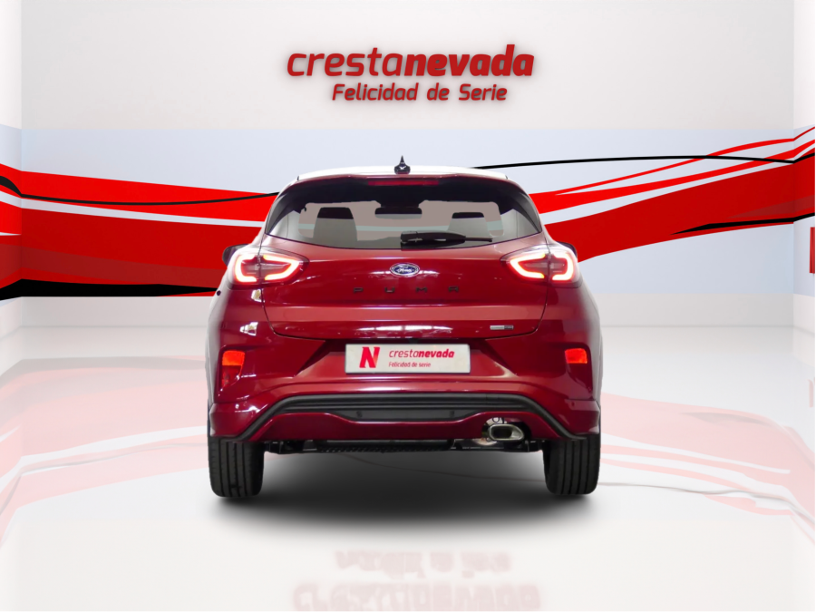 Imagen de Ford PUMA