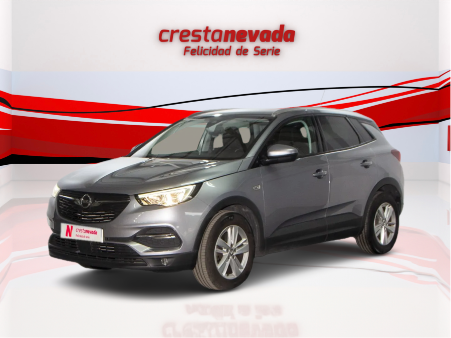 Imagen de Opel GRANDLAND X