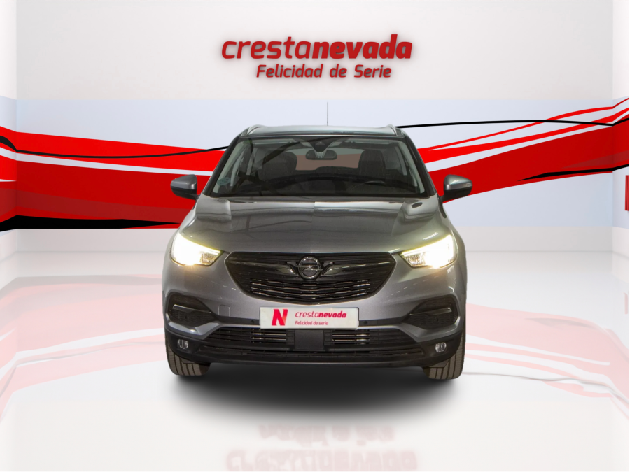 Imagen de Opel GRANDLAND X