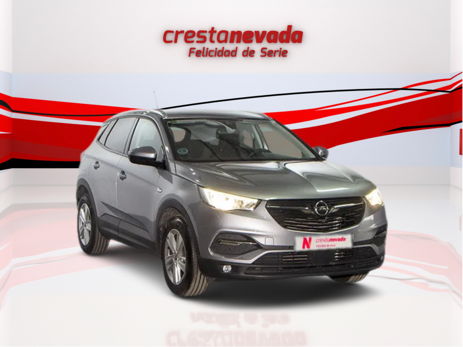 Imagen de Opel GRANDLAND X