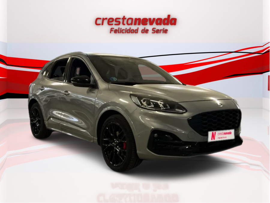 Imagen de Ford KUGA