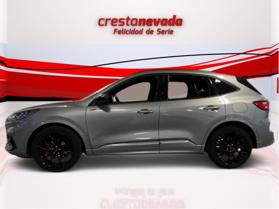 Imagen de Ford KUGA