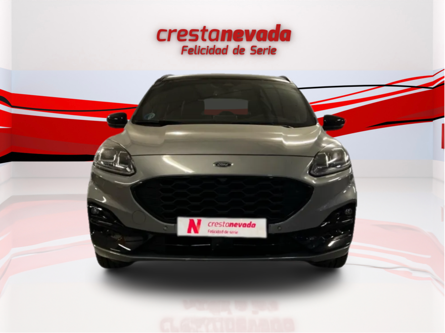 Imagen de Ford KUGA